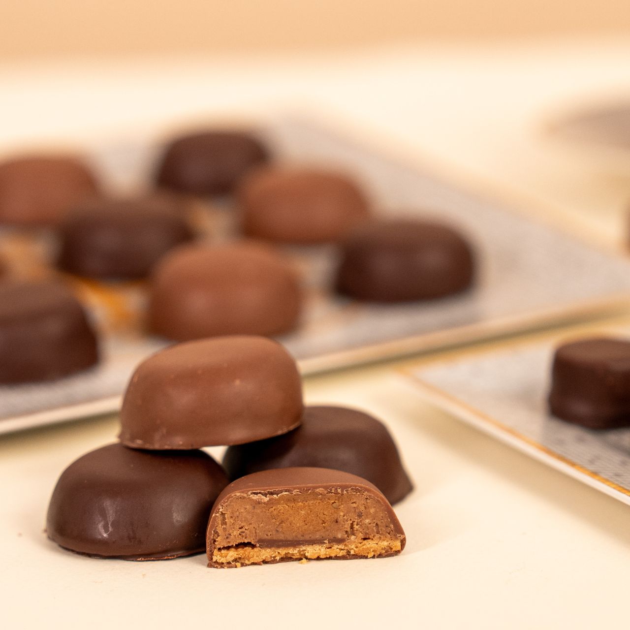 Milk & Dark Chocolate Gianduja Sablés Regular